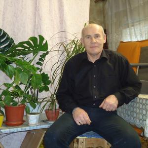 Александр Авинов, 64 года, Тольятти