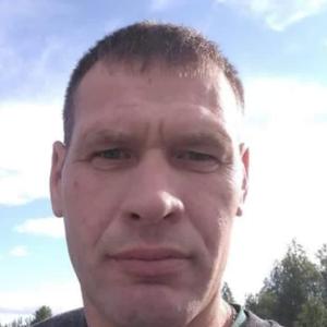 Sergei, 44 года, Сургут