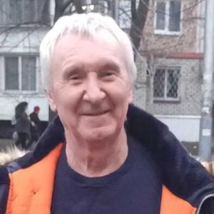Парни в Владивостоке: Владимир, 71 - ищет девушку из Владивостока