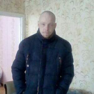 Вован, 35 лет, Кимовск
