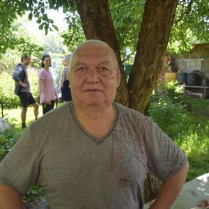 Михаил Фадеев, 69 лет, Калининград