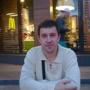 Denis, 44 года, Витебск