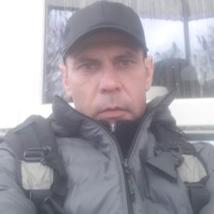 Дима, 41 год, Гродно
