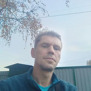 Алексей, 51 год, Раменское