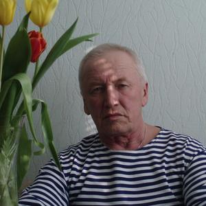Servey, 71 год, Набережные Челны