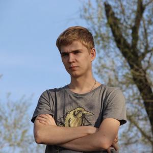Nikita, 28 лет, Саратов