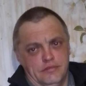 Паша, 43 года, Архангельск