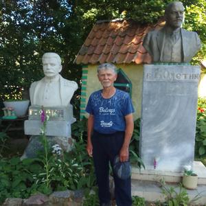 Николай, 70 лет, Калининград