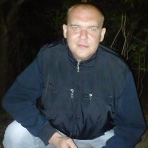 Александр Митин , 38 лет, Зарайск