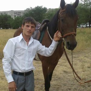 Николай, 38 лет, Йошкар-Ола
