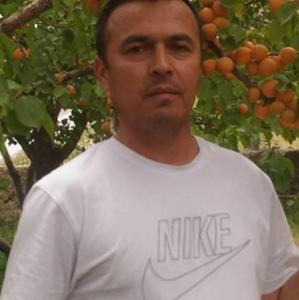 Вахид, 46 лет, Сургут
