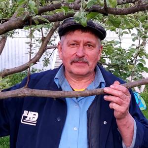 Петр, 68 лет, Москва