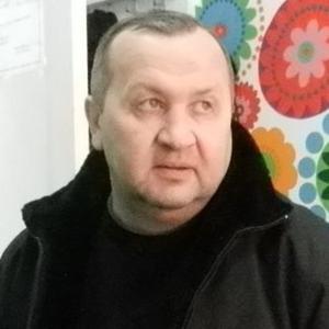 Kisa, 53 года, Тольятти