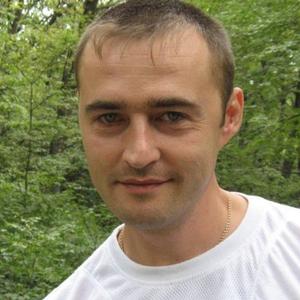 Сергей Мошкатюк, 45 лет, Белгород