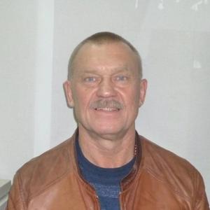 Александр Павлюхин, 67 лет, Казань