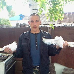 Парни в Липецке: Сергей, 38 - ищет девушку из Липецка