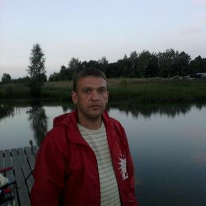 Алексей Козлов, 43 года, Владимир