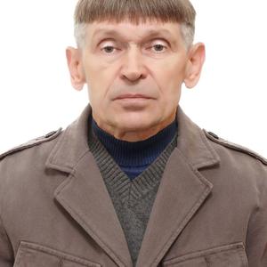 Владимир, 74 года, Жуков
