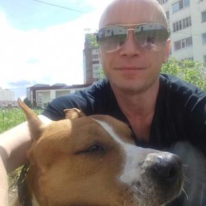 Dinus Valiev, 41 год, Нефтекамск