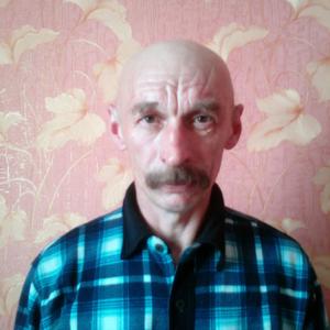 Михаил, 55 лет, Тула