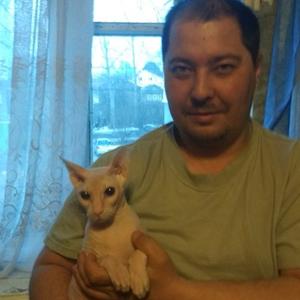 Парни в Ижевске: Шамиль, 37 - ищет девушку из Ижевска