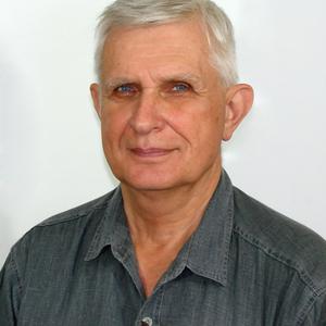 Владимир, 71 год, Ессентуки