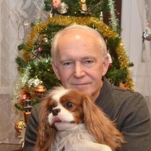 Вячеслав, 66 лет, Самара