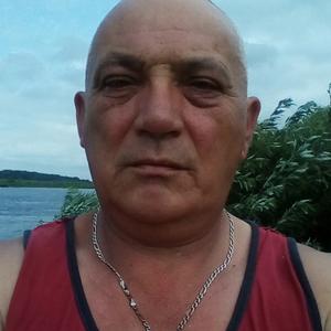 Nikolaj, 62 года, Калининград