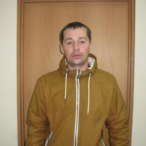 Roman, 49 лет, Вологда