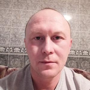 Алексей, 43 года, Бежецк