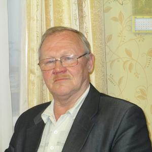 Николай Рычков, 70 лет, Сарапул