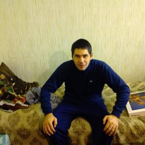 Петраш, 42 года, Валуйки