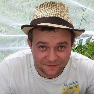 Степан Степанов, 42 года, Зарайск