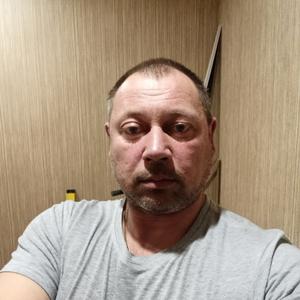 Василий, 50 лет, Владимир
