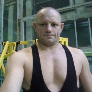 Руслан, 43 года, Сегежа