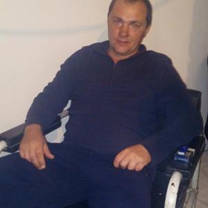 Алексей, 44 года, Зеленогорск