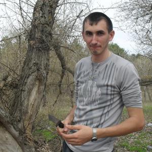 Павел Чесноков, 37 лет, Константиновск