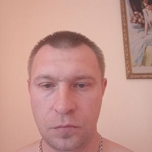 Владимир, 36 лет, Усмань