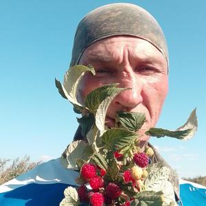 Пётр, 44 года, Ростов-на-Дону