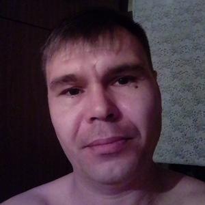 Денис Жданов, 39 лет, Барнаул