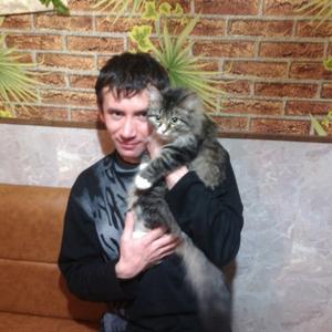 Сергей, 38 лет, Ревда