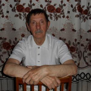 Евгений, 78 лет, Ярославль