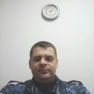 Ivan, 44 года, Волгоград