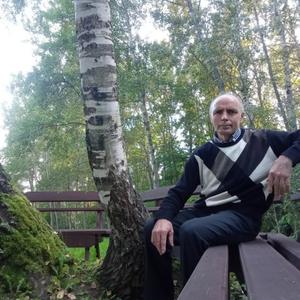 Сергей Норицын, 68 лет, Екатеринбург