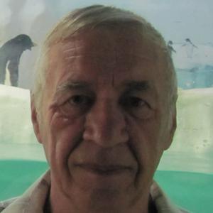 Виктор, 70 лет, Армавир