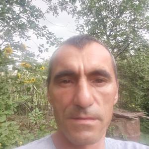 German Surmaev, 44 года, Кызылорда