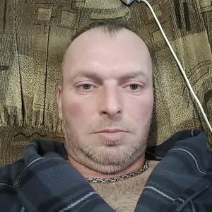 Владимир, 43 года, Калининград
