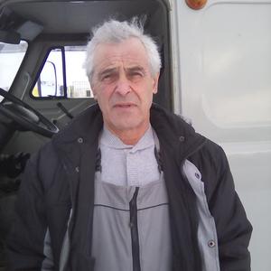 Sergei Kallistov, 66 лет, Самара