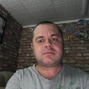 Дмитрий, 41 год, Бронницы