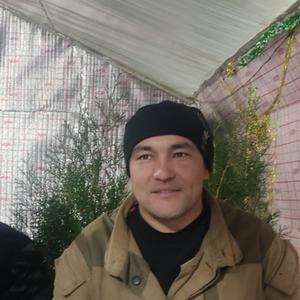 Jasur Burhonov, 40 лет, Ташкент